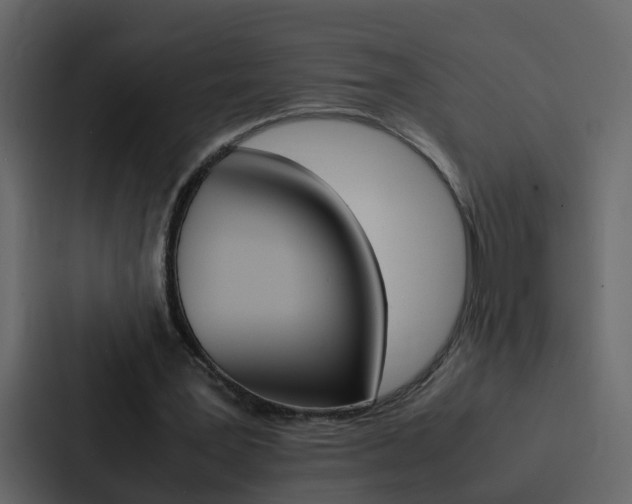 X0000088150387200705141056