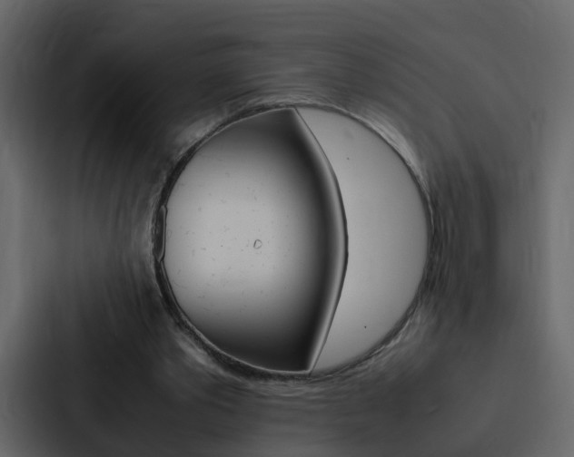 X0000088150389200705141056