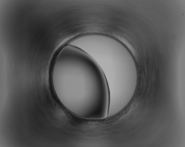 X0000088150391200705141056