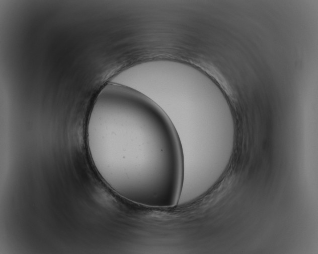 X0000088150393200705141056