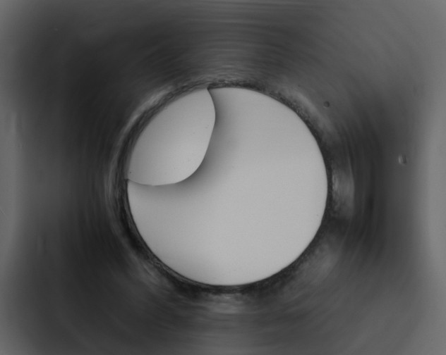 X0000088150396200705141055