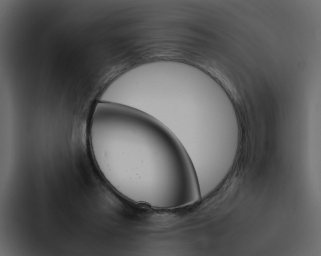 X0000088150397200705141055