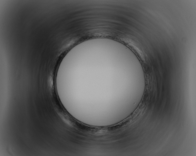 X0000088150398200705141055