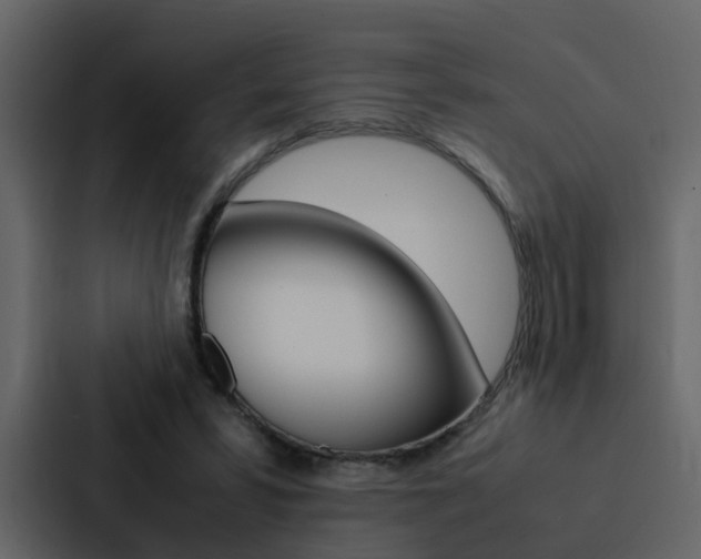X0000088150399200705141055