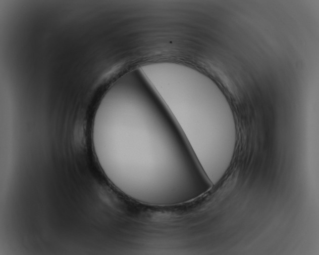 X0000088150400200705141055