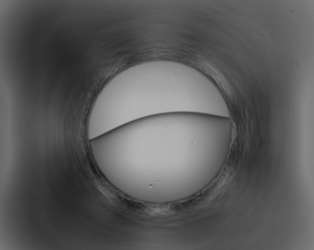 X0000088150401200705141055