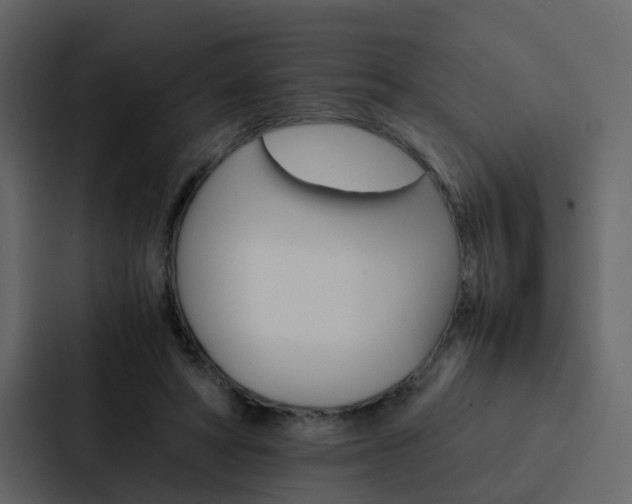 X0000088150402200705141055