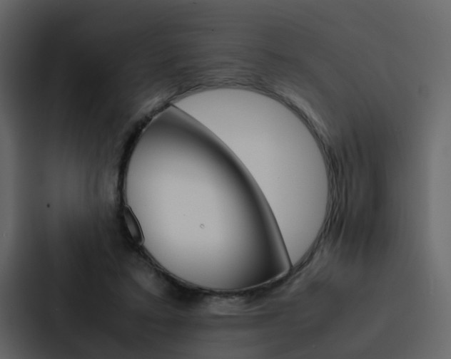 X0000088150403200705141055