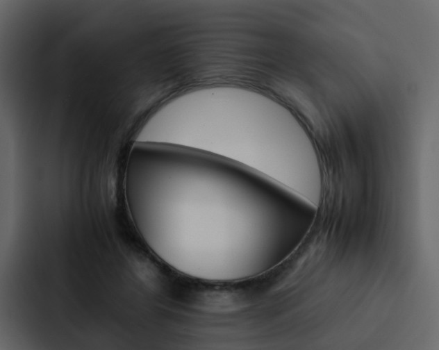 X0000088150404200705141055