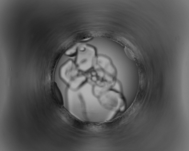 X0000088150405200705141055