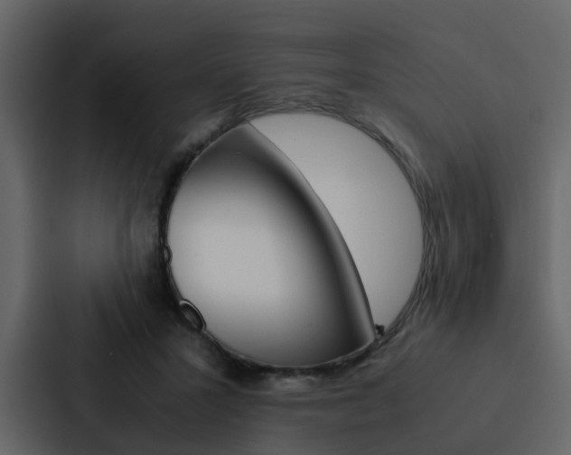 X0000088150407200705141055