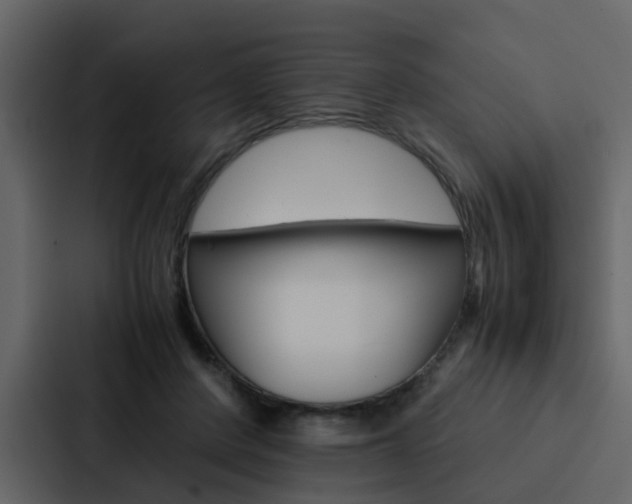 X0000088150408200705141055