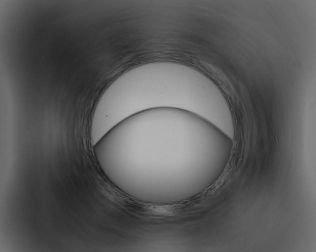 X0000088150409200705141055