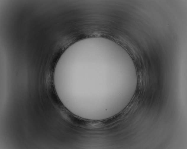 X0000088150410200705141055