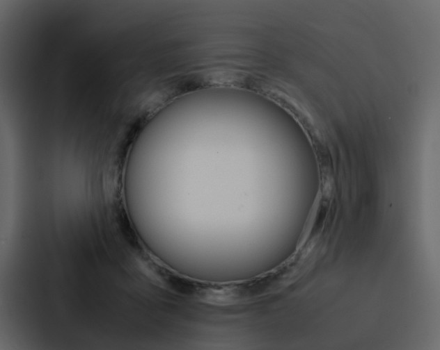 X0000088150411200705141055