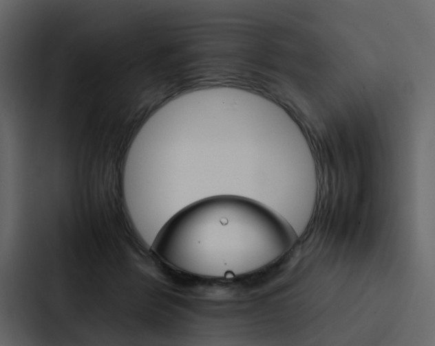 X0000088150412200705141055