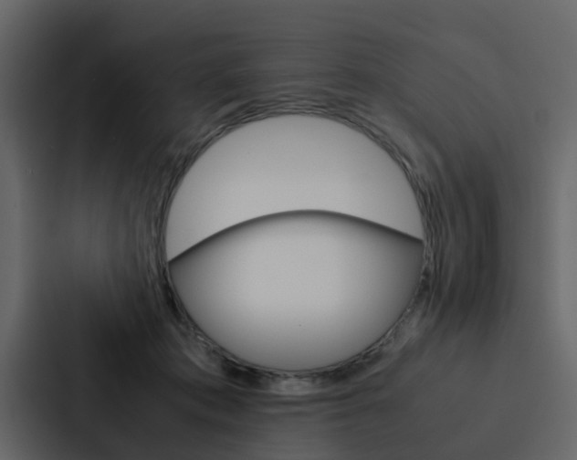 X0000088150413200705141055