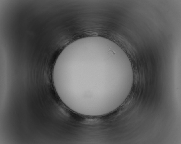 X0000088150414200705141055