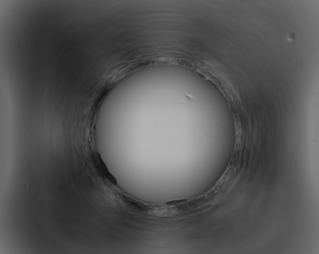 X0000088150415200705141055