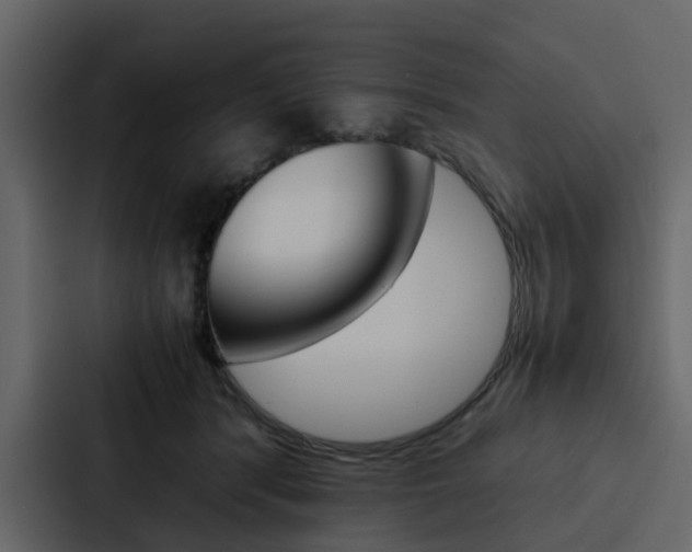 X0000088150416200705141055