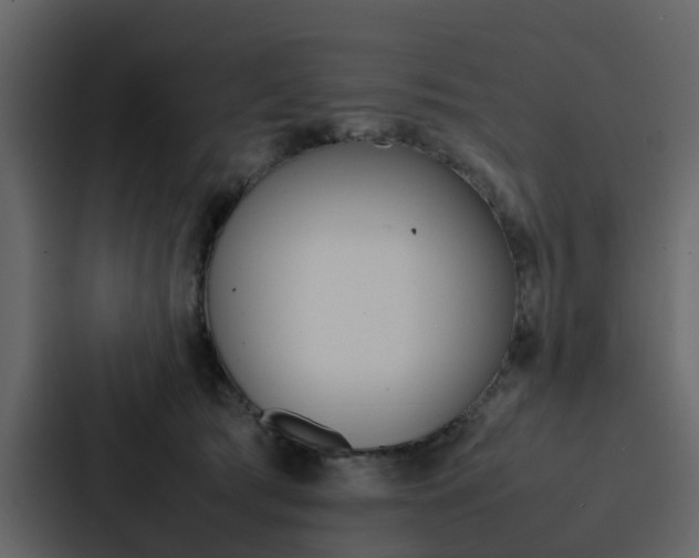 X0000088150417200705141055