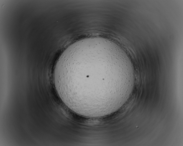 X0000088150418200705141055