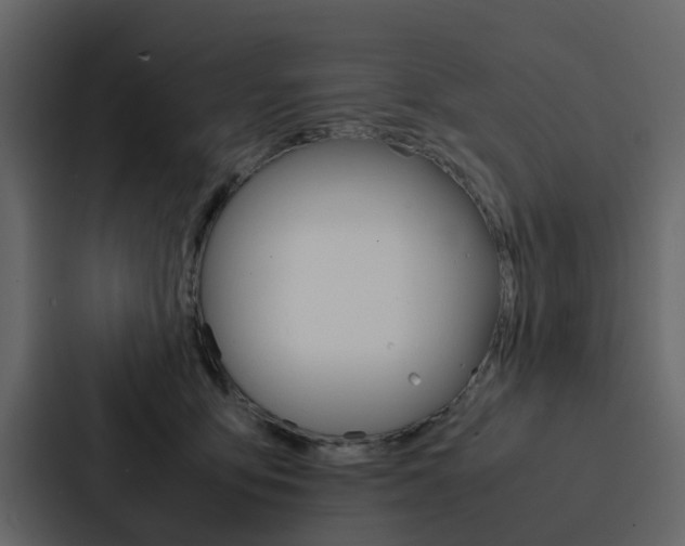 X0000088150419200705141055