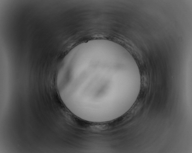 X0000088150422200705141055