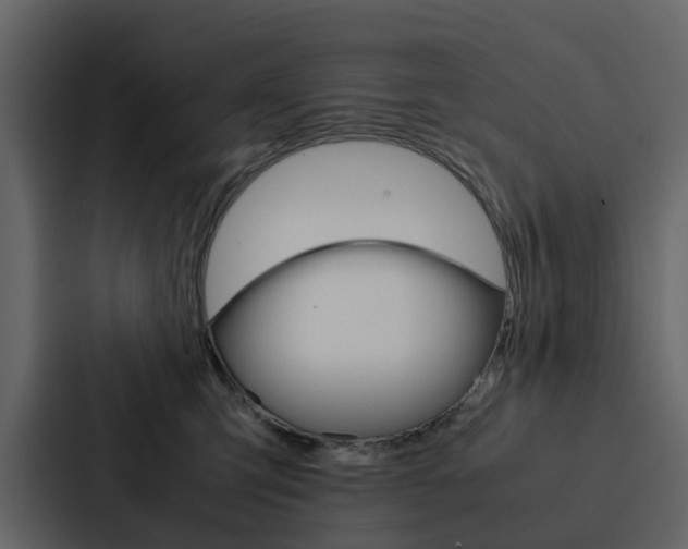 X0000088150423200705141055