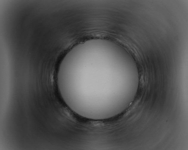 X0000088150424200705141055