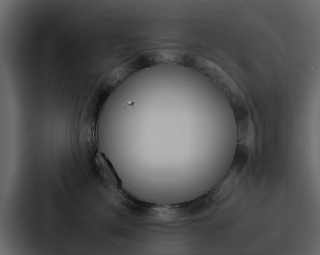 X0000088150425200705141055