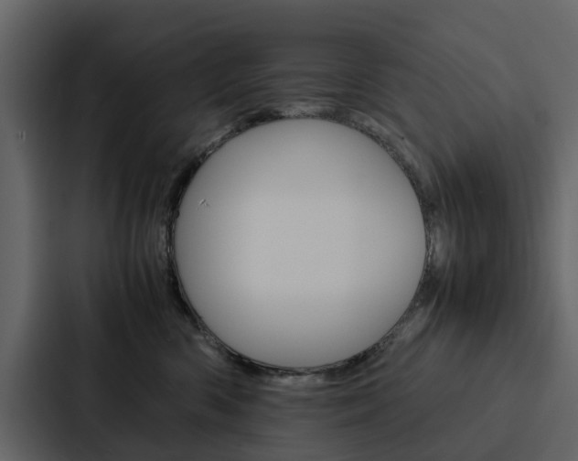 X0000088150426200705141055