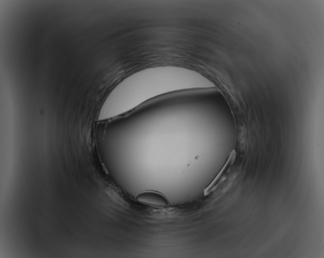 X0000088150428200705141055