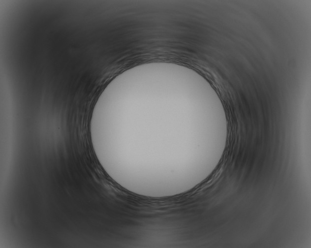 X0000088150429200705141055