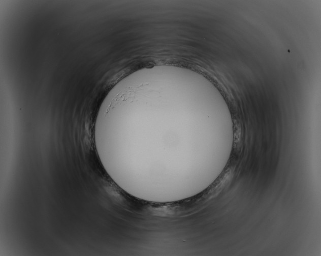 X0000088150430200705141055