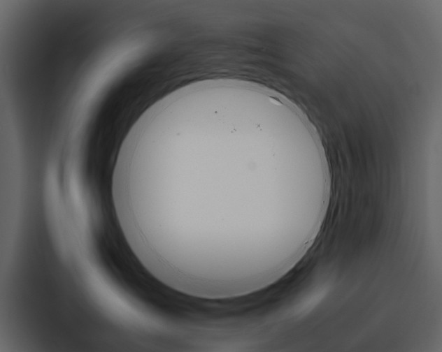 X0000088150431200705141055