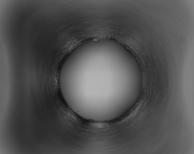 X0000088150432200705141055