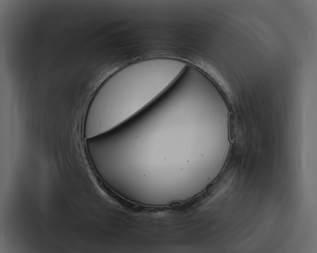 X0000088150433200705141054