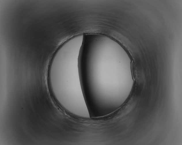X0000088150434200705141054