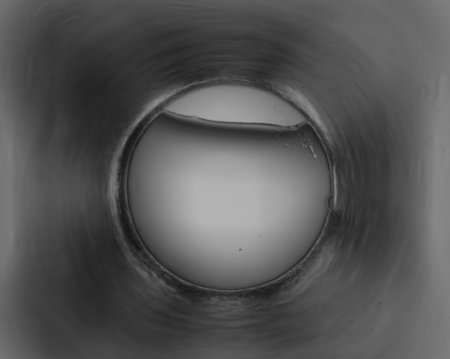 X0000088150435200705141054