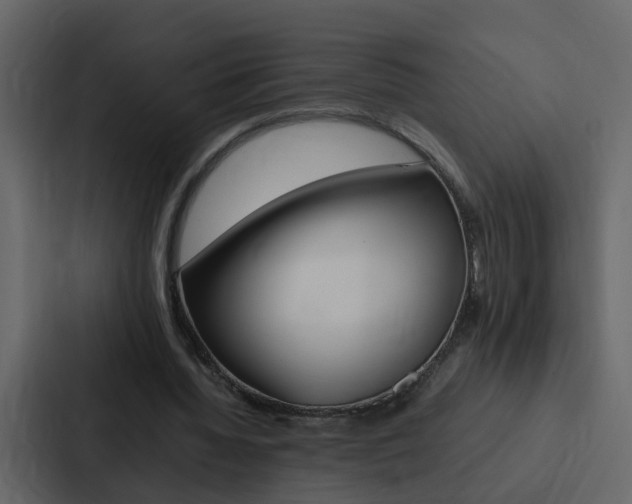 X0000088150436200705141054