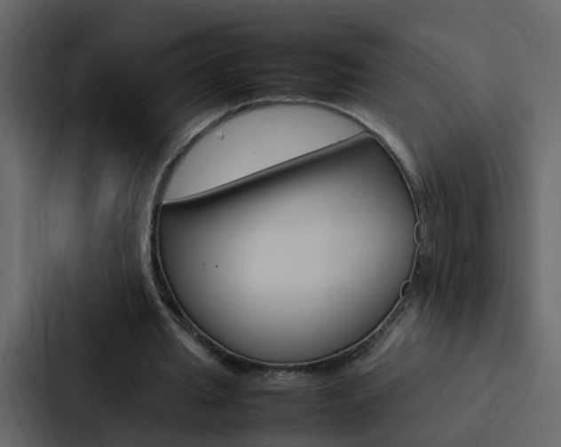 X0000088150437200705141054