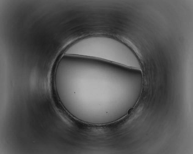 X0000088150439200705141054