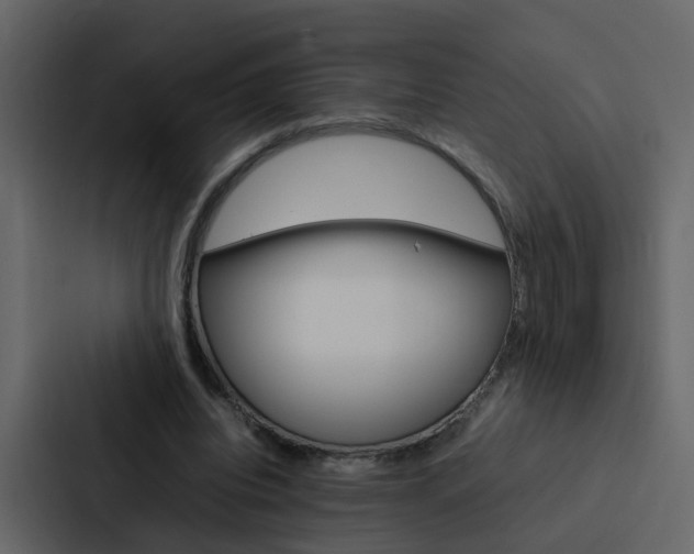 X0000088150440200705141054