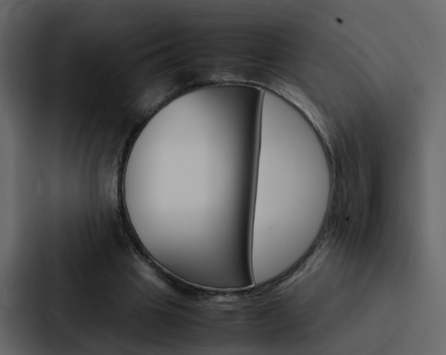 X0000088150441200705141054