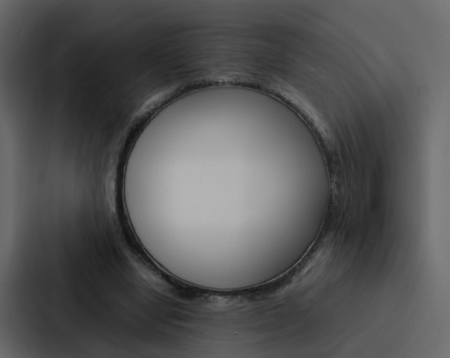 X0000088150442200705141055