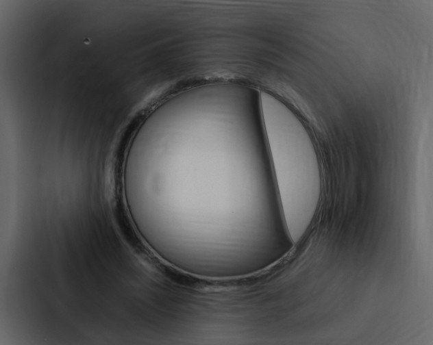 X0000088150444200705141055