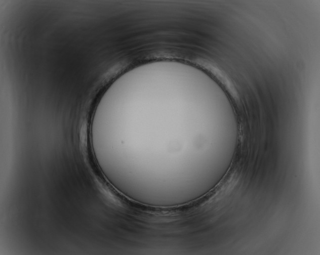 X0000088150445200705141055