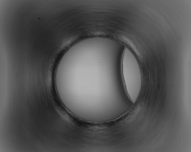 X0000088150447200705141055