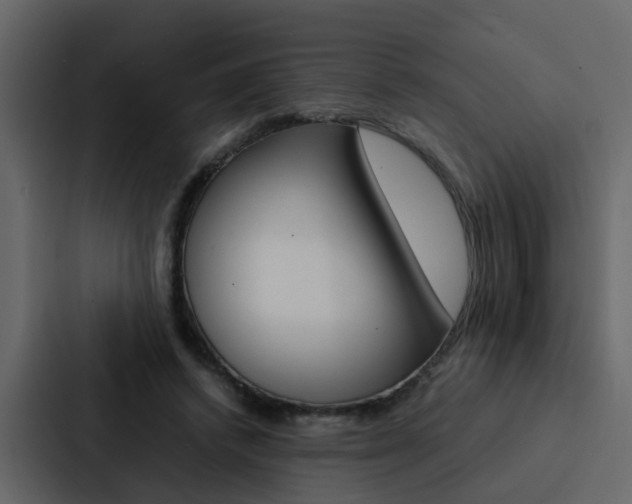 X0000088150448200705141055